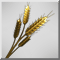 Пшеница-1 сера