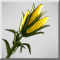 Кукуруза-3 серы